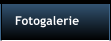 Fotogalerie