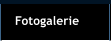 Fotogalerie